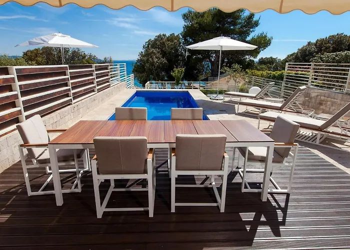 Olea 佩特坎内
